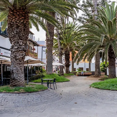 Down Floor In Centre Apartment Puerto de la Cruz (Tenerife)