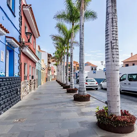 Down Floor In Centre Apartment *