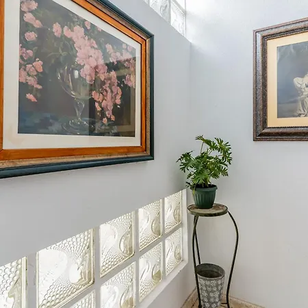 Down Floor In Centre Puerto de la Cruz (Tenerife)